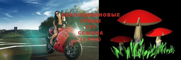 эйфоретик Абдулино