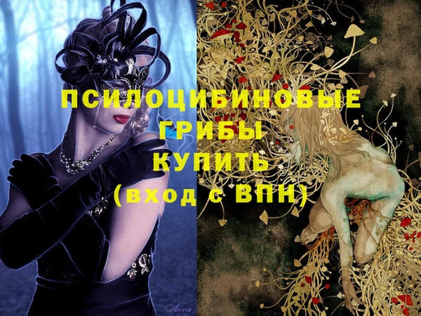 PSILOCYBIN Абаза