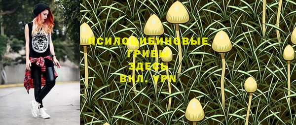 PSILOCYBIN Абаза