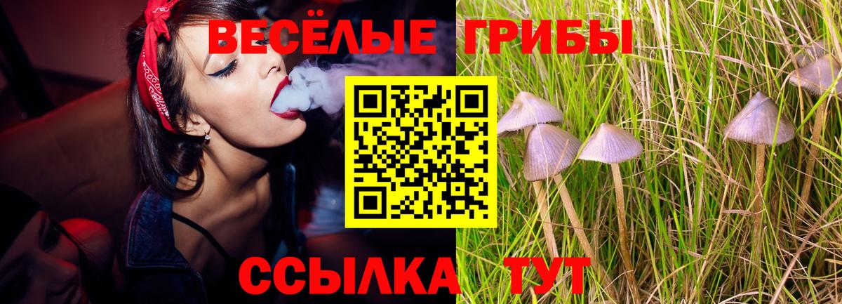 Псилоцибиновые грибы MAGIC MUSHROOMS  где можно купить   Кингисепп  Вход с VPN 