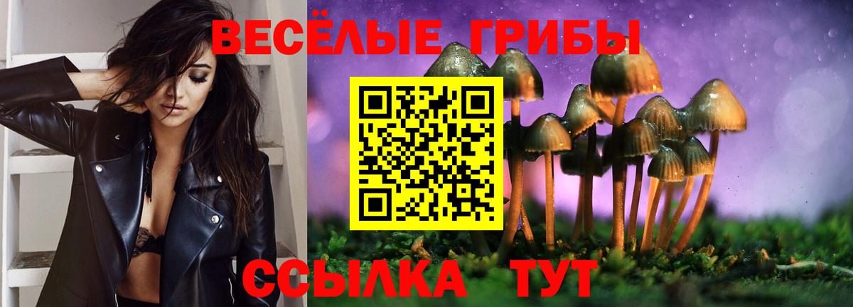 ТГК Кингисепп